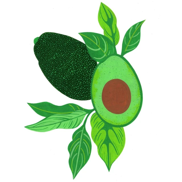Illustration of a whole avocado and a halved avocado with a pit, surrounded by green leaves, set against a white background.