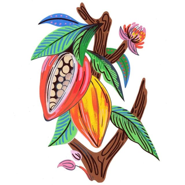 Illustration of a cacao tree branch with pods, leaves and flower, depicted in vibrant colors on a white background.
