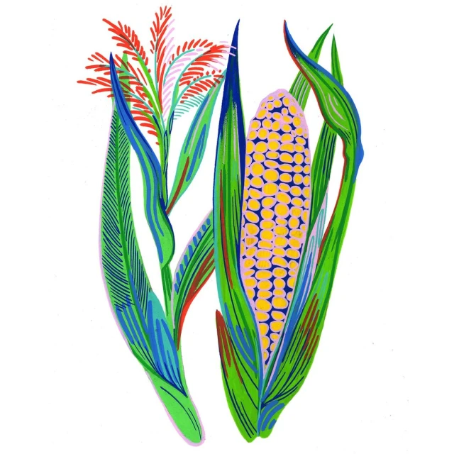 Illustration of corn on the cob with green leaves and red tassels against a white background, rendered in a colorful, graphic style.