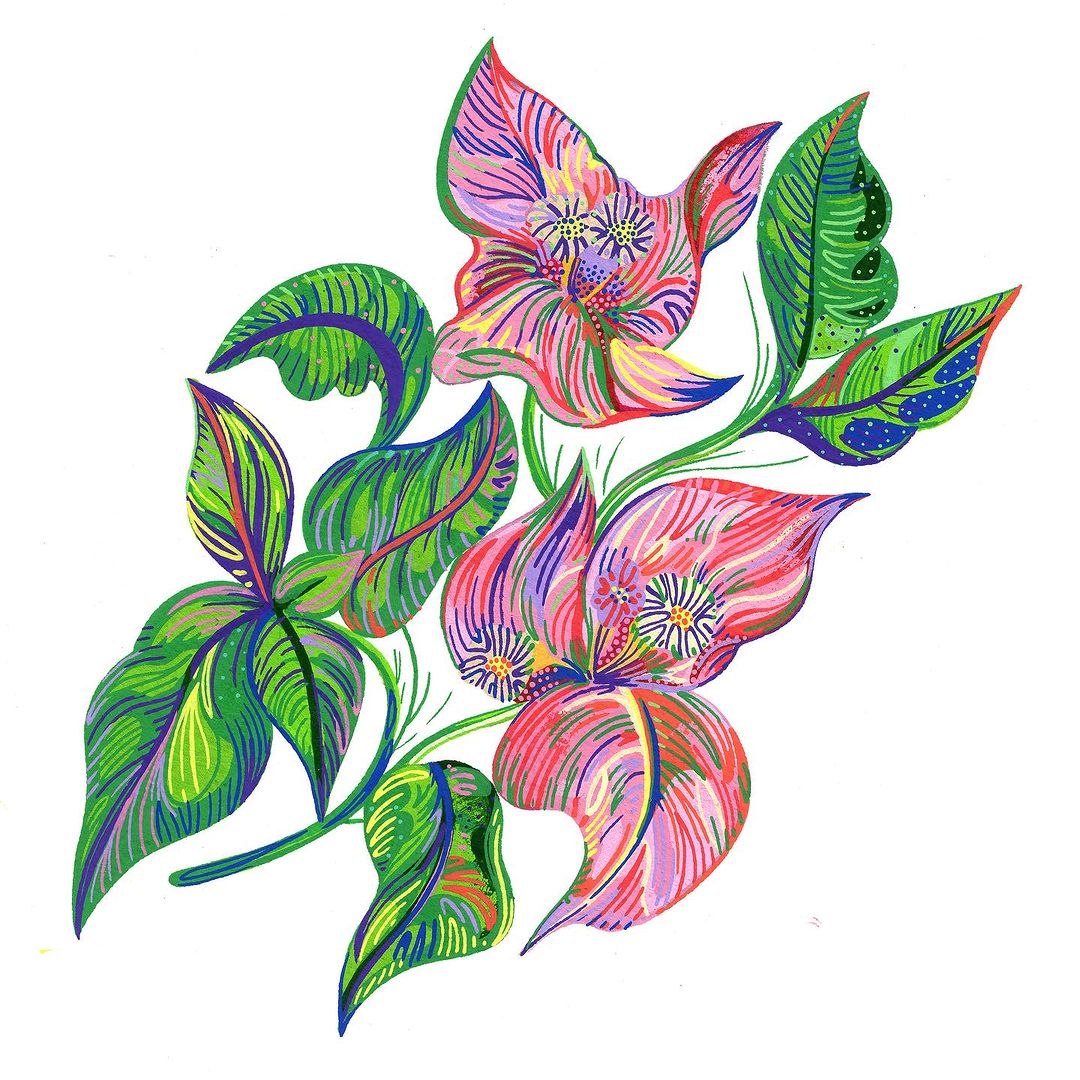 Whimsical floral illustration featuring pink and purple blooms with green leaves, set against a clean white backdrop, evokes a fresh and artistic feel.