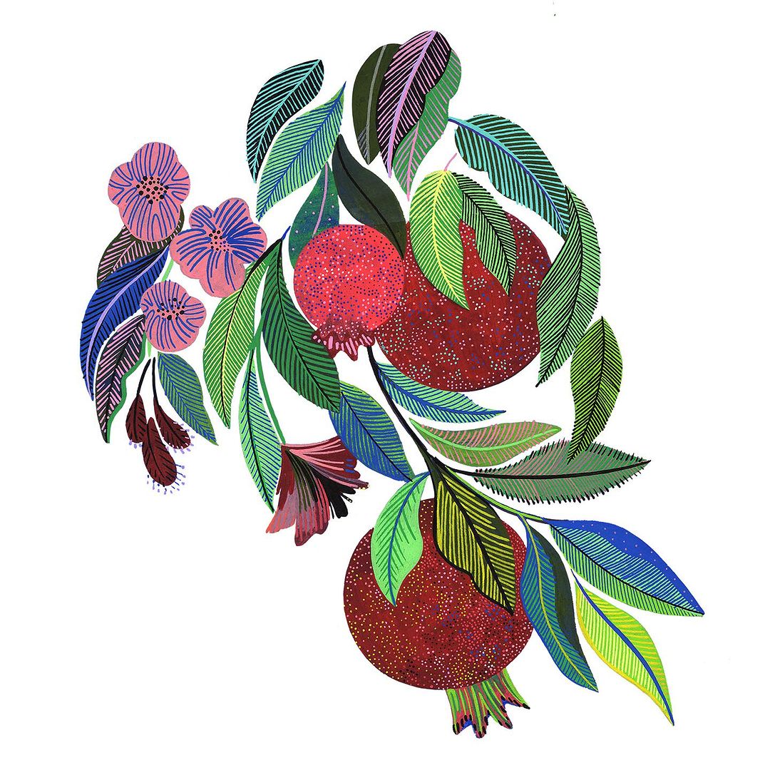 Botanical illustration of pomegranates and floral elements in shades of red, pink, purple, and green against a bright white background.