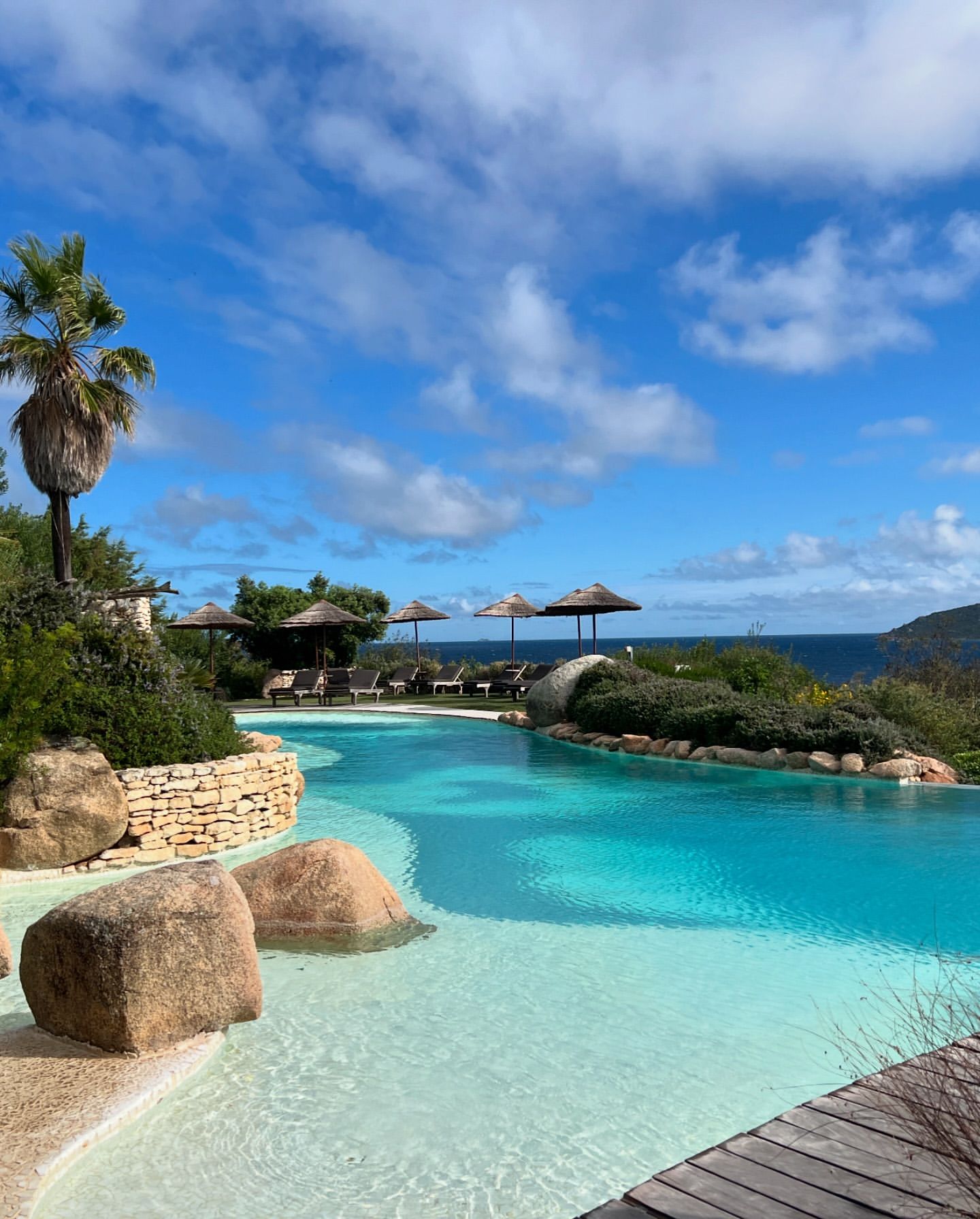 Idyllic outdoor scene with turquoise swimming pool, palm tree, and ocean view under a blue sky with scattered clouds.