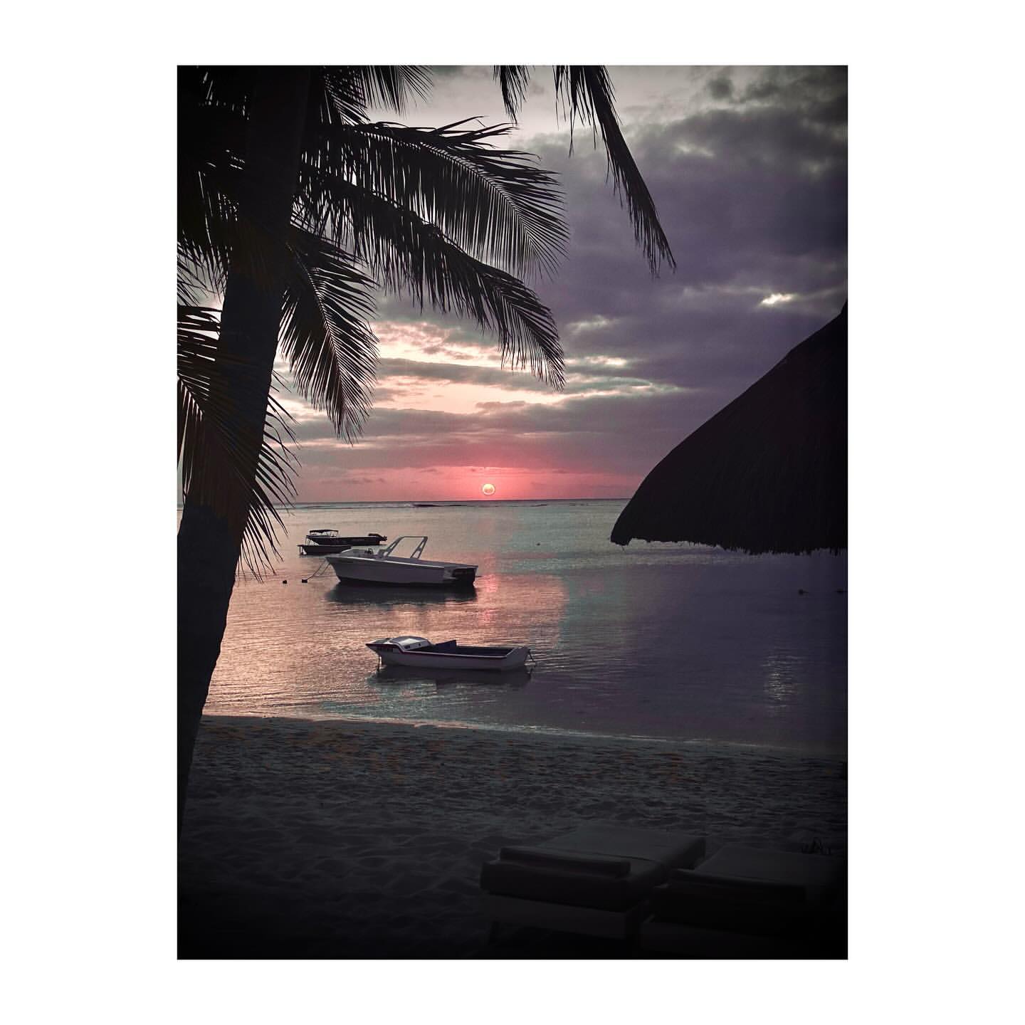 Tropical beach scene with boats at sunset; palm tree silhouette frames ocean view with soft pink sky and calm water reflecting light.