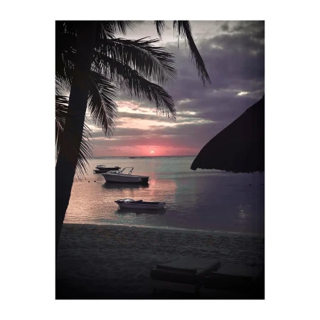 Tropical beach scene with boats at sunset; palm tree silhouette frames ocean view with soft pink sky and calm water reflecting light.