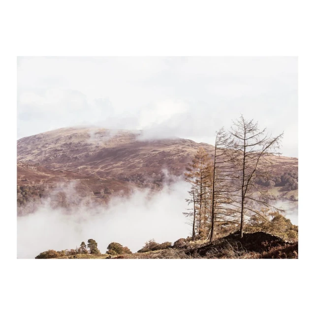 Fog-shrouded mountain landscape with bare trees in the foreground, featuring a muted color palette and an overcast sky.