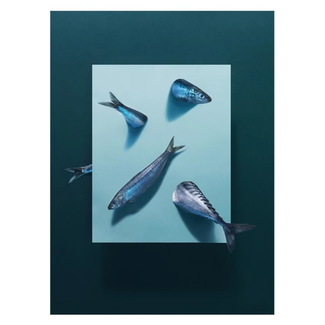 Artful product shot of blue sardines arranged on a square light blue surface against a darker blue background in a minimalist style.