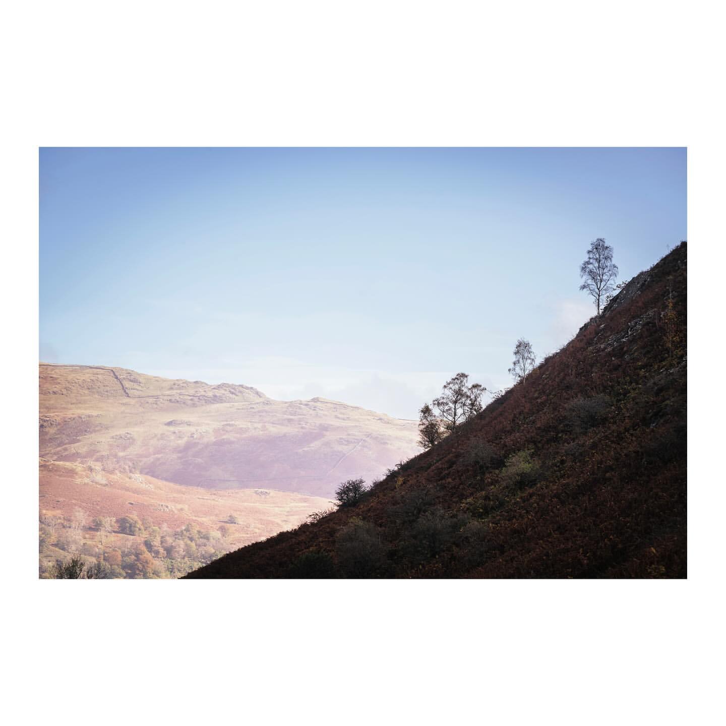 Landscape image of a mountainside with sparse trees against a clear blue sky, showcasing natural beauty and peaceful scenery.