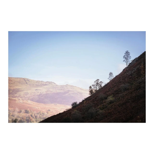 Landscape image of a mountainside with sparse trees against a clear blue sky, showcasing natural beauty and peaceful scenery.