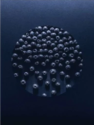 A circular cutout filled with fresh blueberries set against a dark blue textured background by photographer Neil Watson