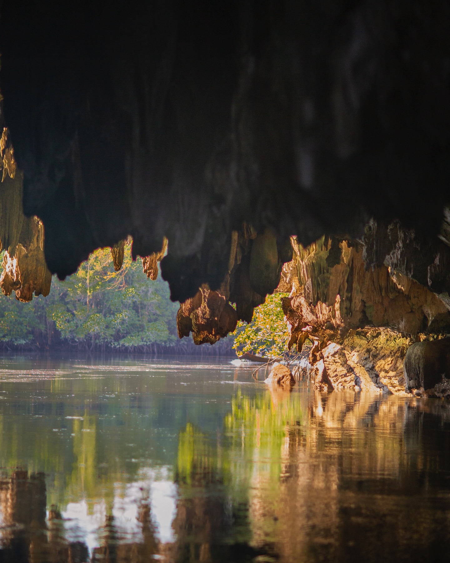 Cave entrance over water reflecting trees in a calm river in Southeast Asia, with green foliage and natural rock formations.