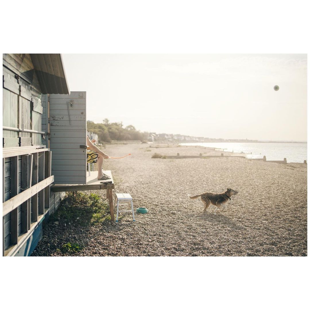 Dog runs on a pebble beach toward a thrown ball as a person sits on a porch of a small beach house in the sunlight.