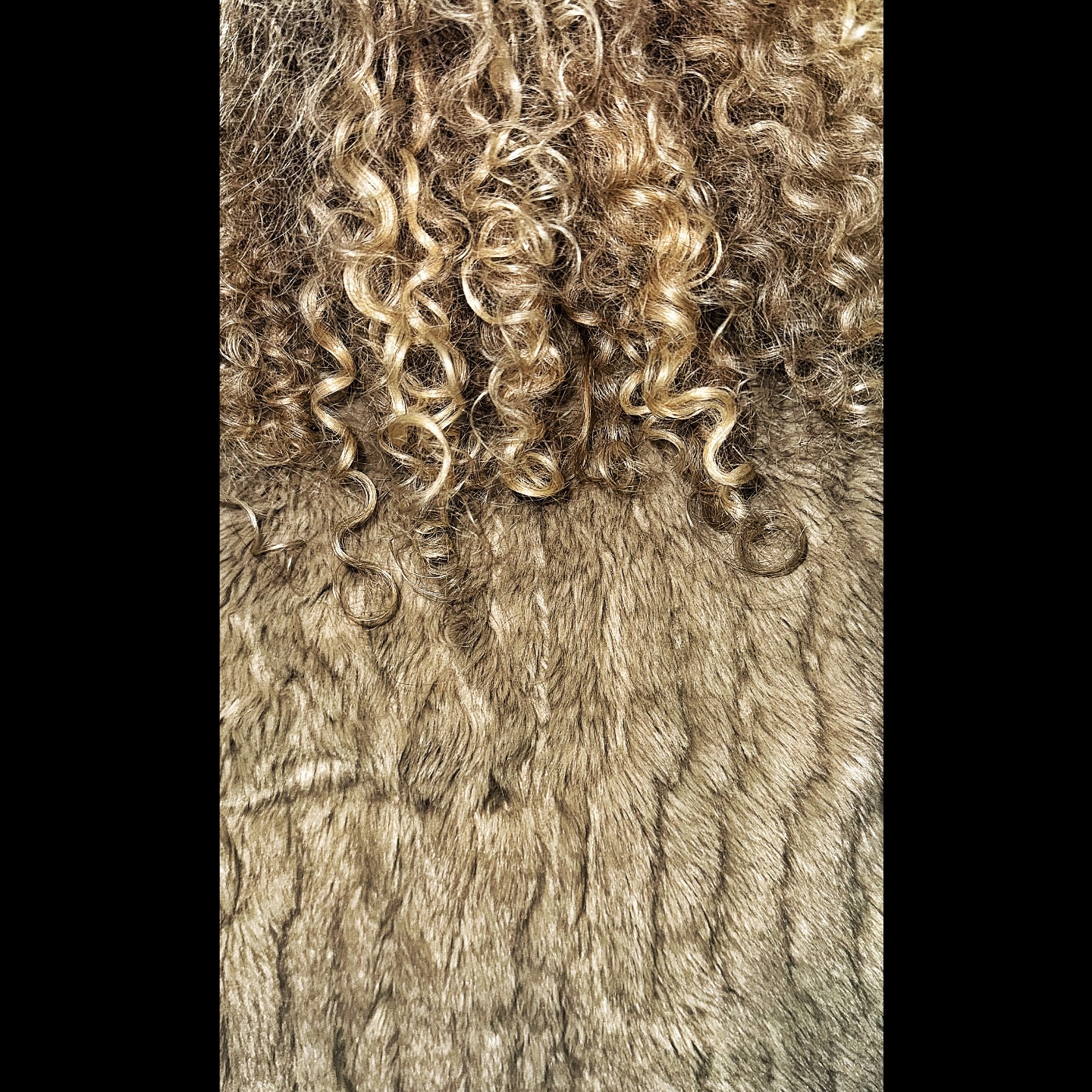 Close-up of curly blond hair cascading over a textured brown surface, creating an abstract and organic pattern.