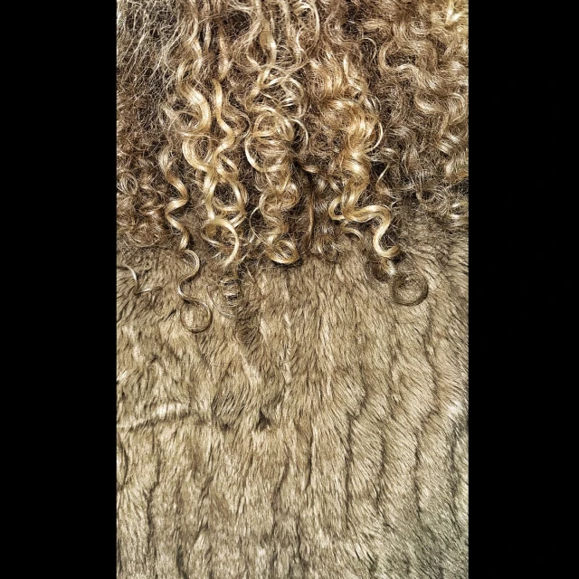 Close-up of curly blond hair cascading over a textured brown surface, creating an abstract and organic pattern.