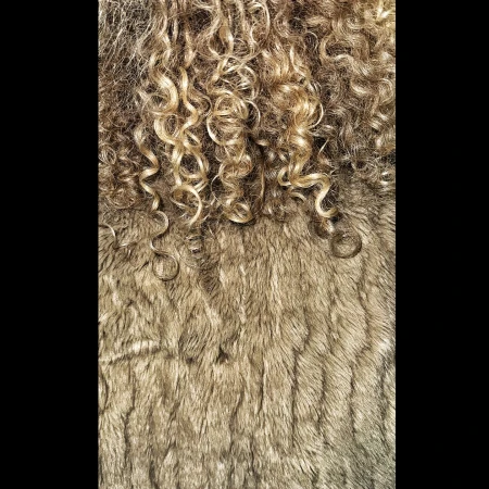 Close-up of curly blond hair cascading over a textured brown surface, creating an abstract and organic pattern.