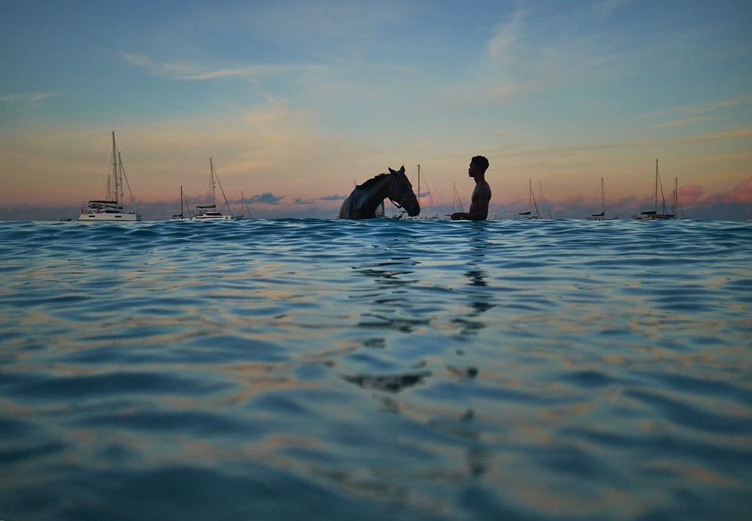 Silhouette of a horse and adult male standing in ocean water at sunset, with sailboats on the horizon under a pastel sky.
