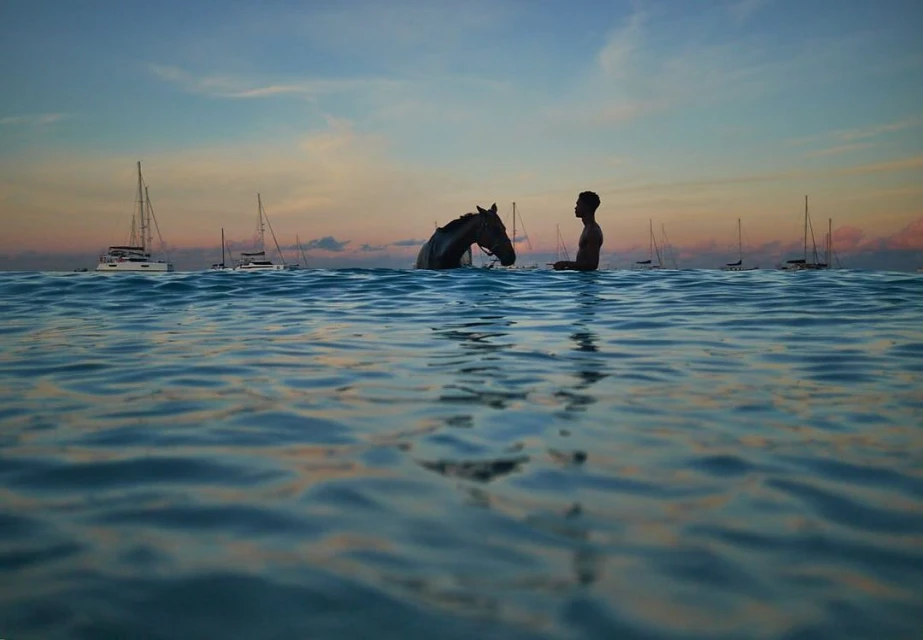 Silhouette of a horse and adult male standing in ocean water at sunset, with sailboats on the horizon under a pastel sky.