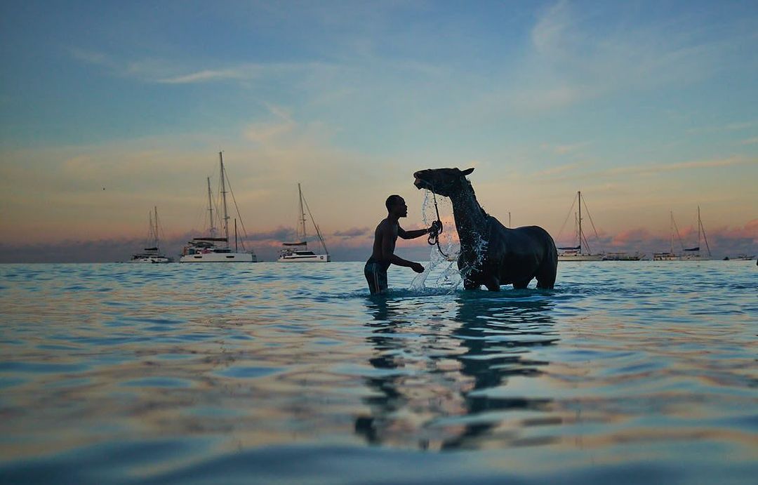Man and horse wade in ocean at sunset. Dark silhouette shapes create a scenic shot with distant sailboats and soft light.