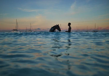 Man and horse standing in calm ocean water at sunset with sailboats anchored in the background, captured from a low water-level perspective.