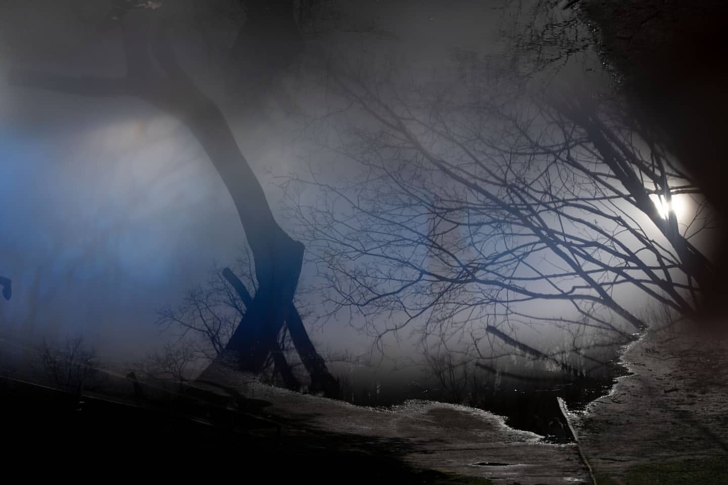 Eerie nighttime scene with bare trees reflected in a puddle, creating a hazy, dreamlike effect with cool blue and black tones.