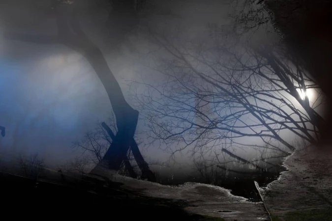Eerie nighttime scene with bare trees reflected in a puddle, creating a hazy, dreamlike effect with cool blue and black tones.