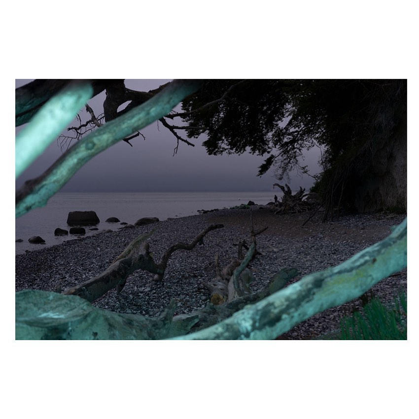 Pebble beach framed by fallen tree branches at dusk. Ocean water and tree line extend into the distance under a cloudy sky.