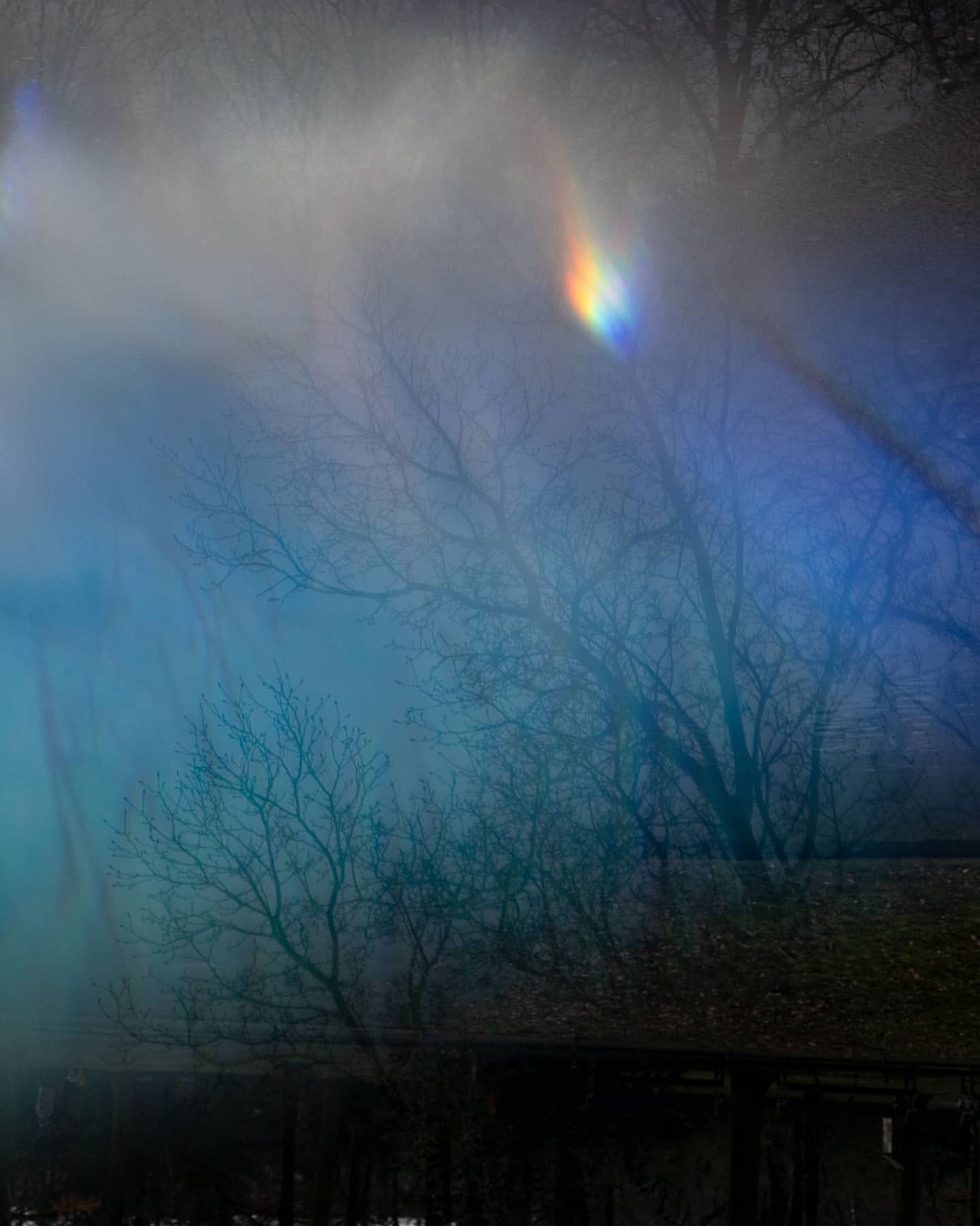 Filtered view of barren trees against a diffused sky with a rainbow prism effect, evoking a serene yet abstract natural scene.