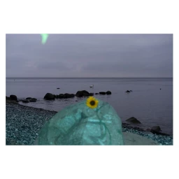 Single small yellow sunflower placed atop a smooth greenish rock on a pebble beach overlooking a calm sea under an overcast sky.