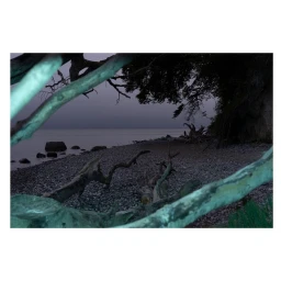 Moody twilight landscape of a rocky beach framed by gnarled driftwood branches and dark trees under a grey sky by Gundula Blumi.