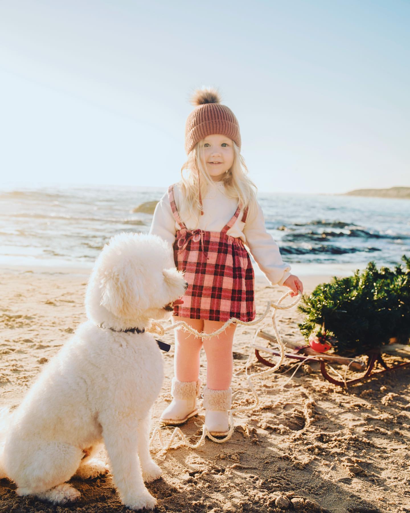 A young girl in a hat standing on a beach with a white poodle and a sled with a small Christmas tree, enjoying a sunny day by the ocean.