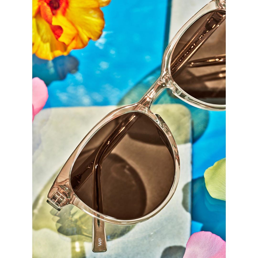 Elegant sunglasses with a transparent frame and brown lenses, showcased against a vibrant backdrop of floral petals and blue hues.