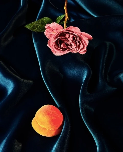 Still life featuring a pink rose and two apricots against draped blue satin fabric in a studio setting, showcasing rich texture.