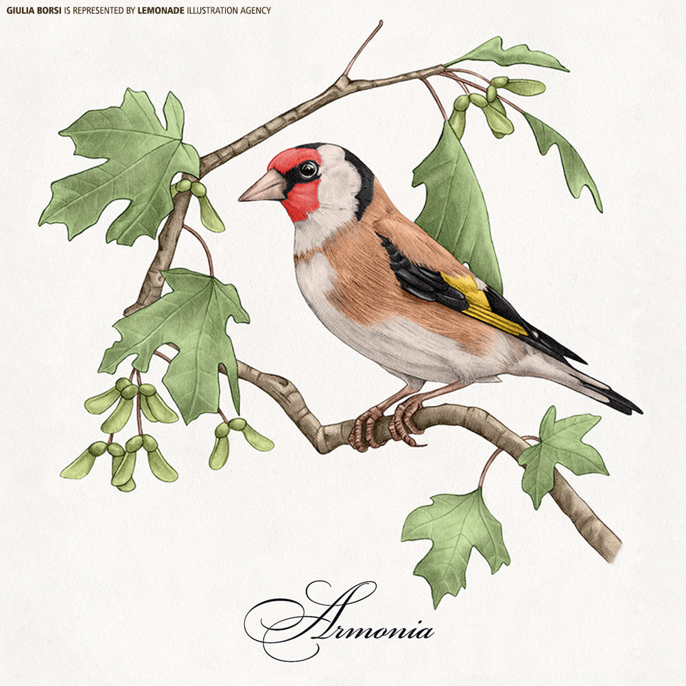 Illustration of a European goldfinch bird perched on a branch with green leaves, showcasing detailed artistry and natural beauty.