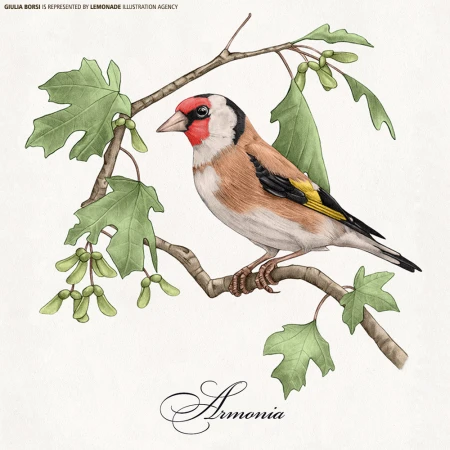 Illustration of a European goldfinch bird perched on a branch with green leaves, showcasing detailed artistry and natural beauty.