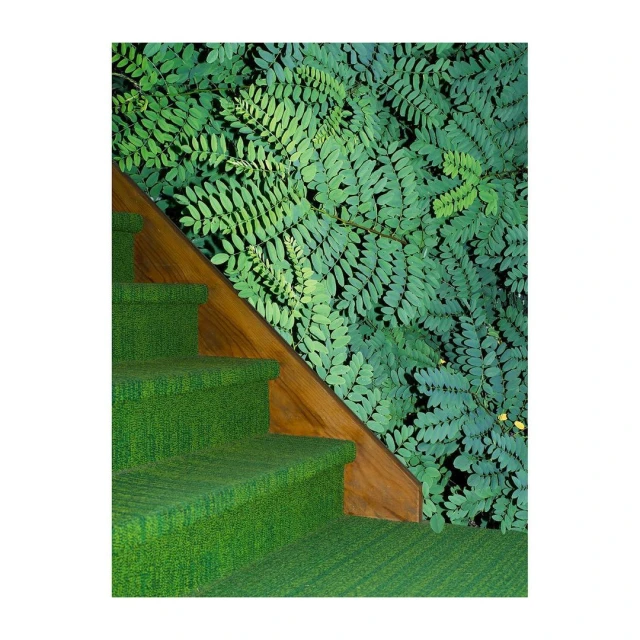 Indoor steps covered with bright green carpet ascend, with a wooden banister and lush green leafy plants growing behind.