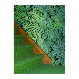 Green carpeted stairs beside a dark wooden banister and a dense wall of green fern foliage.