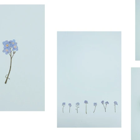 Minimalist botanical arrangement featuring forget-me-not flowers on a soft pastel background, creating a serene and delicate visual.