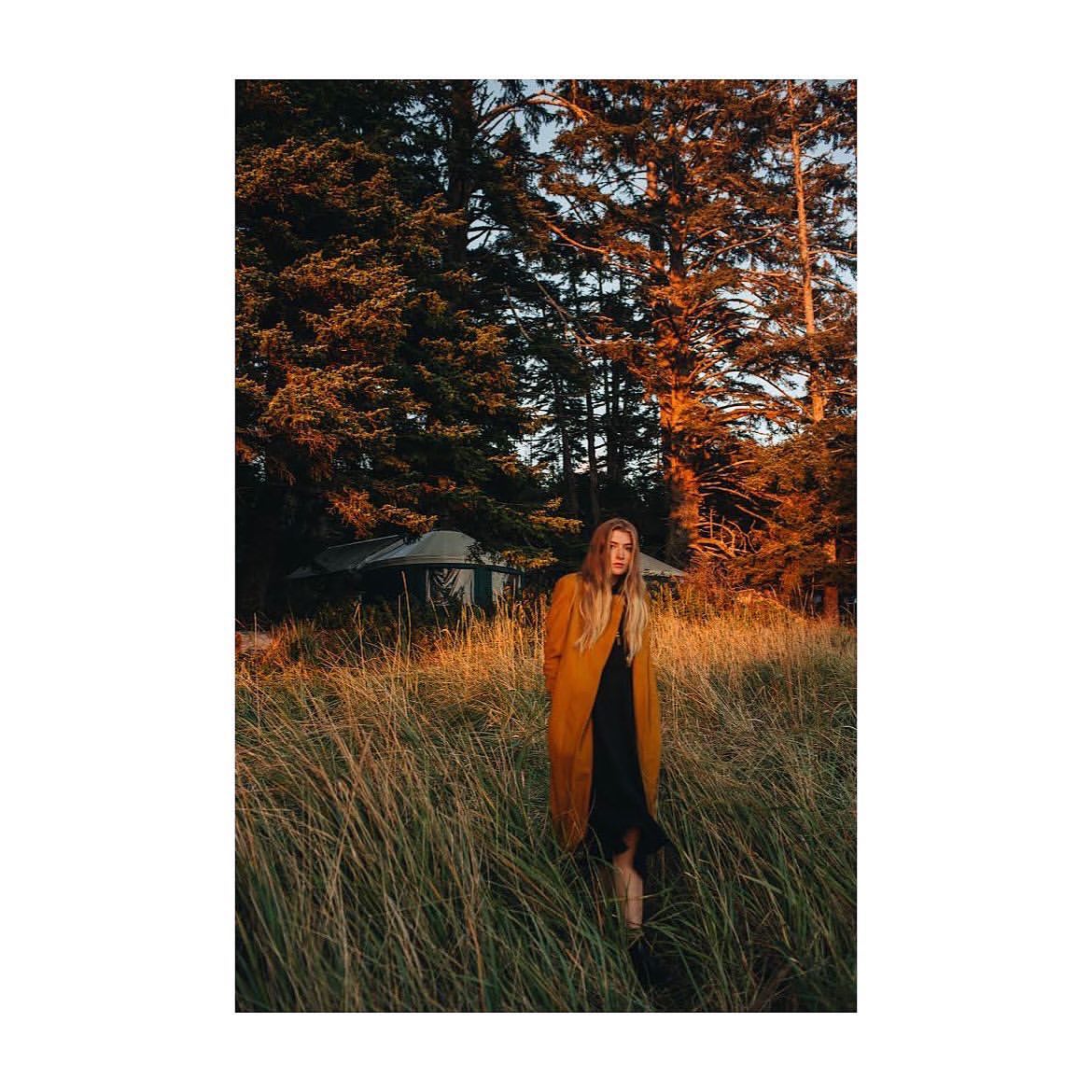 A lone woman in a yellow coat strolls through a sunlit meadow in front of a stand of trees, evoking a tranquil, natural atmosphere.
