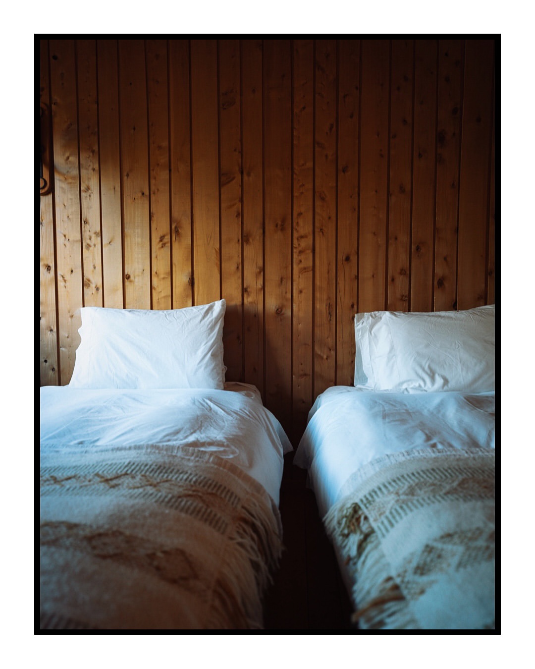 Two twin beds with white linens and pillows are neatly arranged in a room with wood-paneled walls, creating a simple and clean aesthetic.