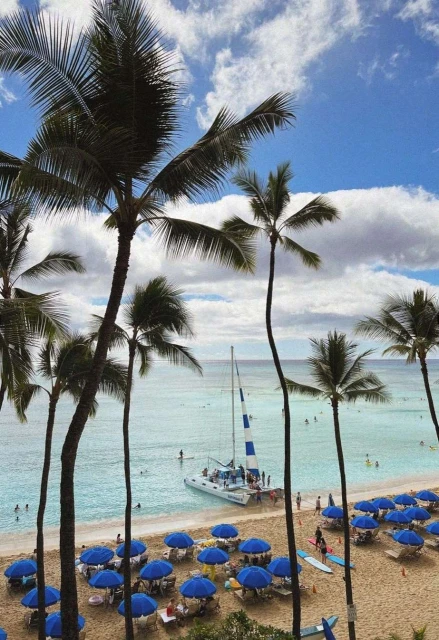 Tropical beach scene with palm trees, blue umbrellas, and a catamaran boat on the shore under a partly cloudy sky.