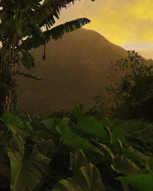 Lush tropical vegetation frames a mountainous landscape under a golden sky at dusk. Banana trees and large green leaves are prominent.