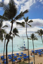 Elevated view of a tropical beach framed by tall palm trees, with blue umbrellas and a catamaran sailboat on turquoise water.
