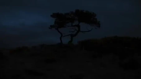 Silhouette of a gnarled tree standing on a dark ridge against a moody twilight sky by Edmund Fraser.