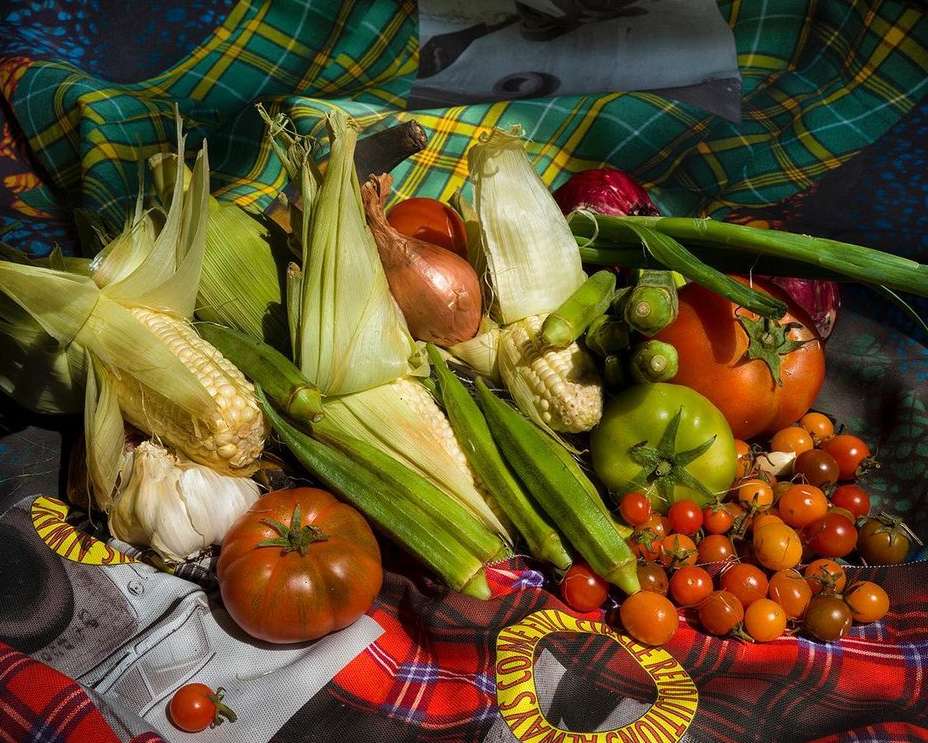 Still life featuring vibrant fresh produce like corn, tomatoes, okra, and onions arranged on patterned fabric, highlighting natural food.