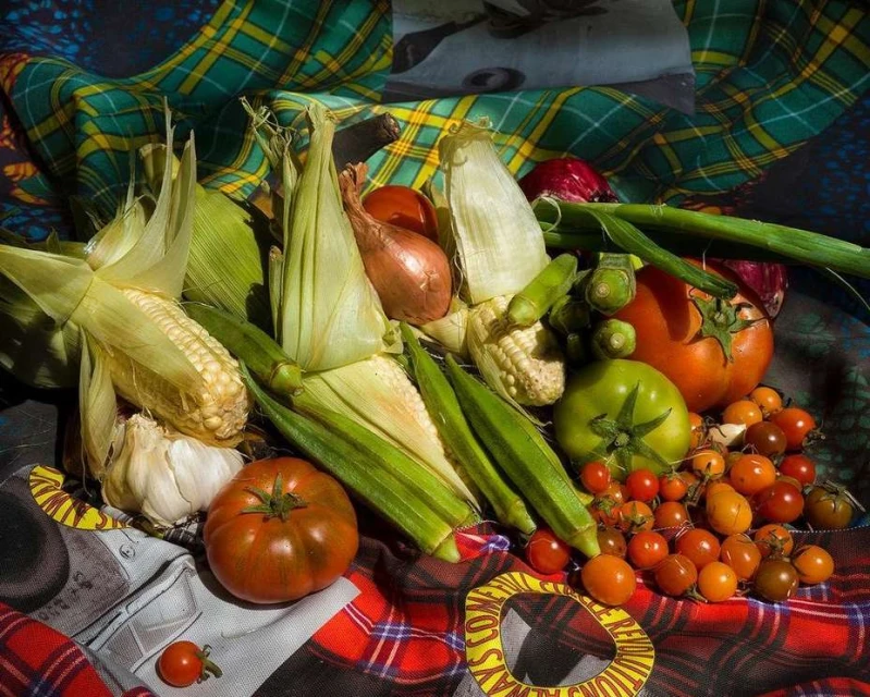 Still life featuring vibrant fresh produce like corn, tomatoes, okra, and onions arranged on patterned fabric, highlighting natural food.