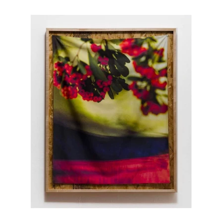 Abstract photograph in a wood frame featuring red berries and green leaves with blurred colors and a rustic, textural aesthetic.