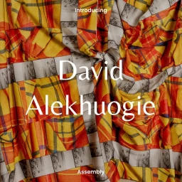 Textured fabric with yellow and red plaid pattern featuring overlaid white typography by David Alekhuogie.