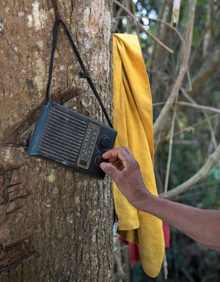 Radio hanging on a tree as an arm reaches out to tune it, with a yellow cloth hanging in the background in a natural setting.