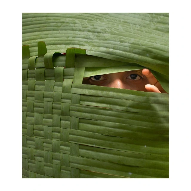 Close-up of a person looking through a woven green leaf screen, showcasing only their eyes and forehead above the leaves.