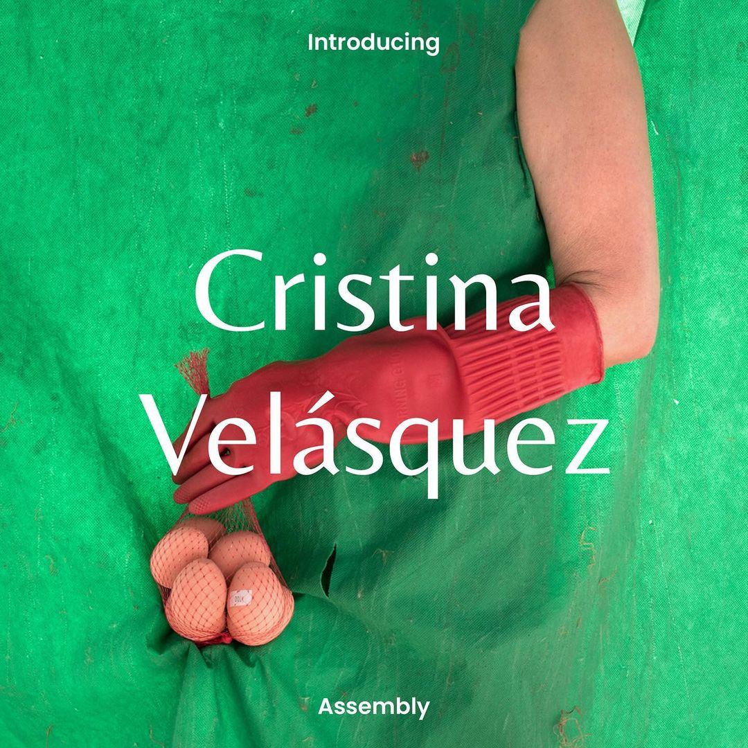Close-up studio shot: Person in red gloves holds eggs in a net bag against a green fabric backdrop with 'Cristina Velásquez' text overlay.