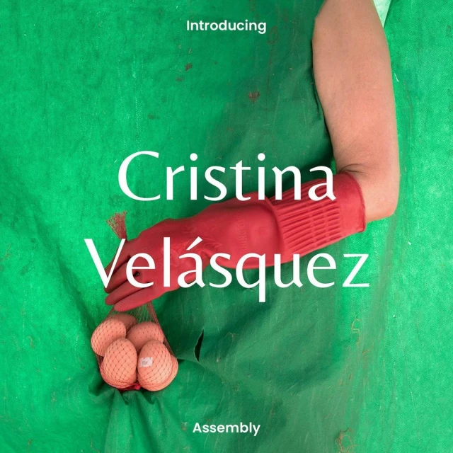 Close-up studio shot: Person in red gloves holds eggs in a net bag against a green fabric backdrop with 'Cristina Velásquez' text overlay.